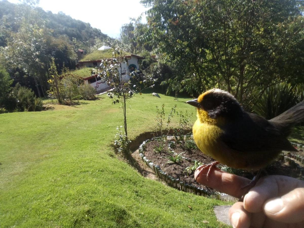 Вілла Jardin Colibri Rnt 33633 Ґуатавіта Екстер'єр фото