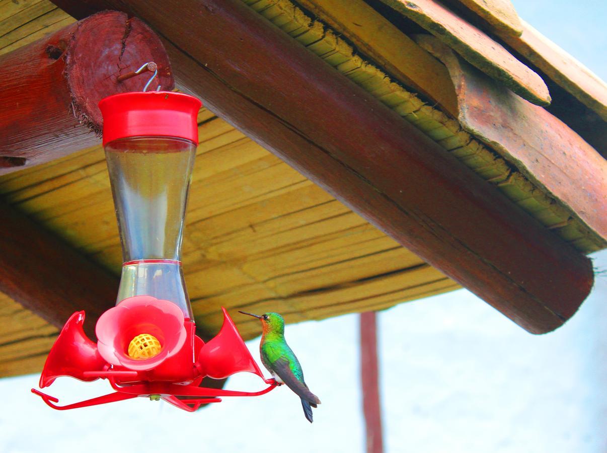 Вілла Jardin Colibri Rnt 33633 Ґуатавіта Екстер'єр фото
